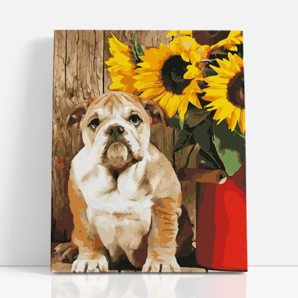 bulldog napraforgókkal számfestő szemből