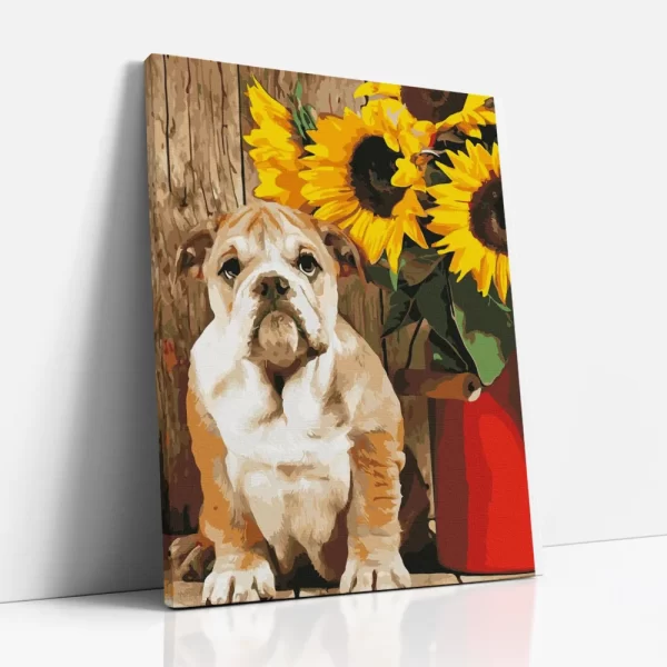 bulldog napraforgókkal számfestő oldalról