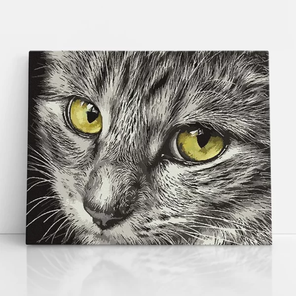 cica szemek számfestő szemből