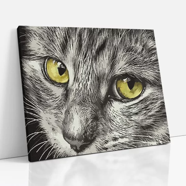 cica szemek számfestő oldalról