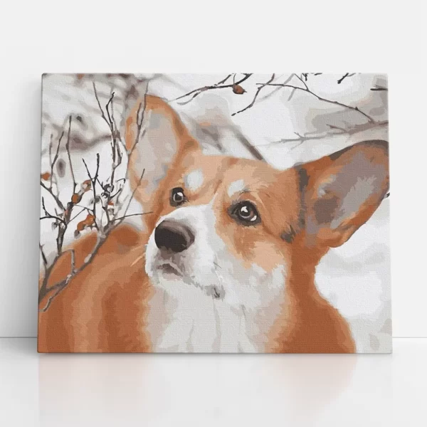 corgie portré számfestő szemből