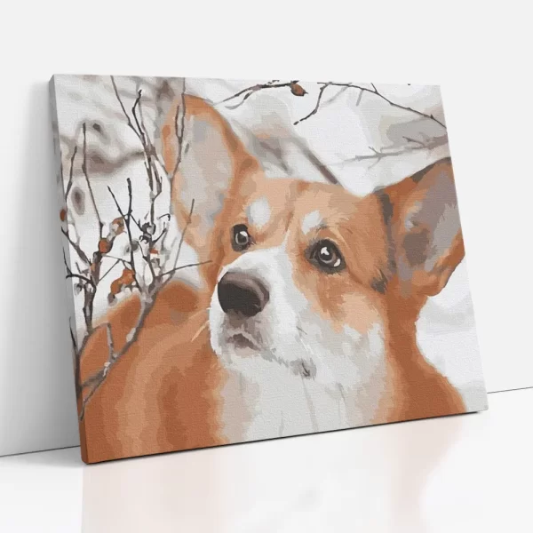 corgie portré számfestő oldalról