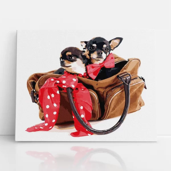 csivavák táskában számfestő szemből