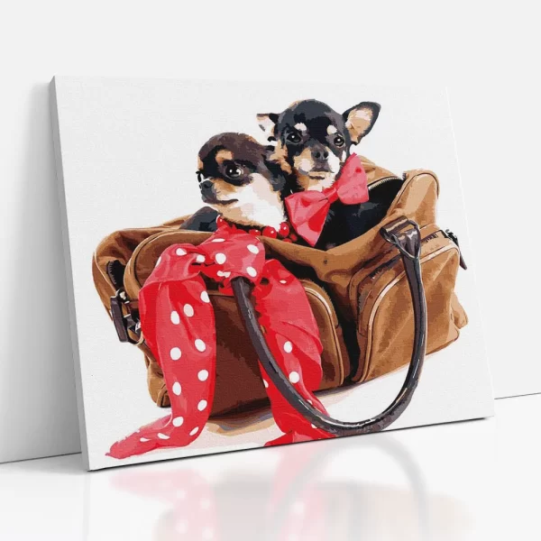 csivavák táskában számfestő oldalról