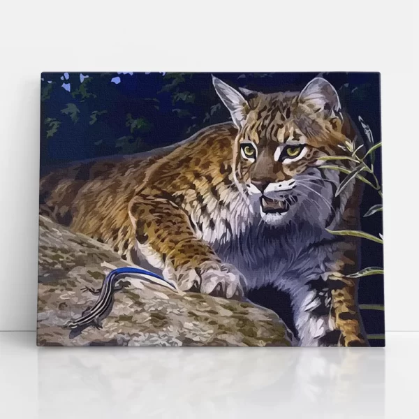 hiúz számfestő szemből