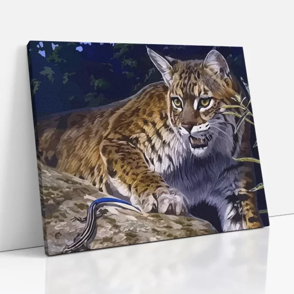 hiúz számfestő oldalról