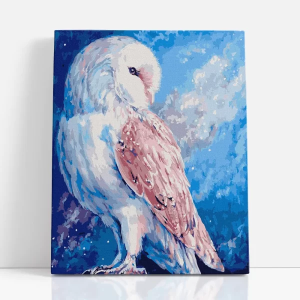 hóbagoly számfestő szemből