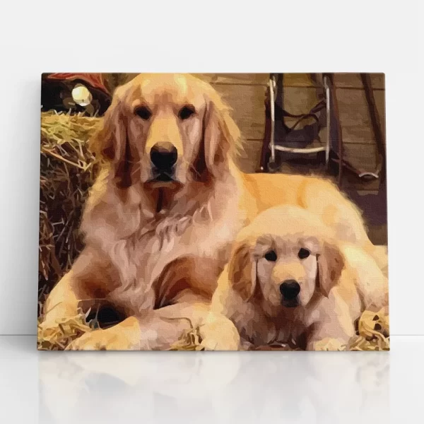 hűséges goldik számfestő szemből