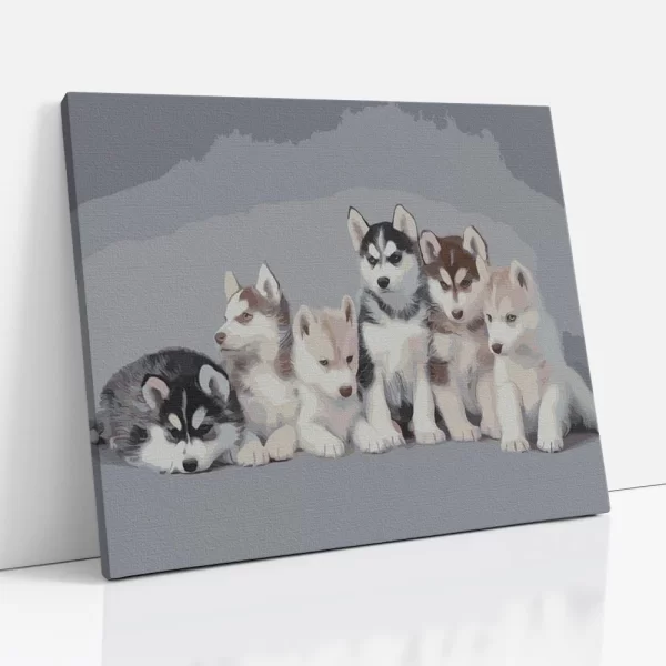 husky kölyök számfestő oldalról