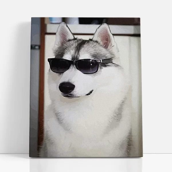 husky napszemüvegben számfestő szemből