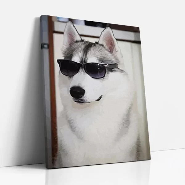 husky napszemüvegben számfestő oldalról