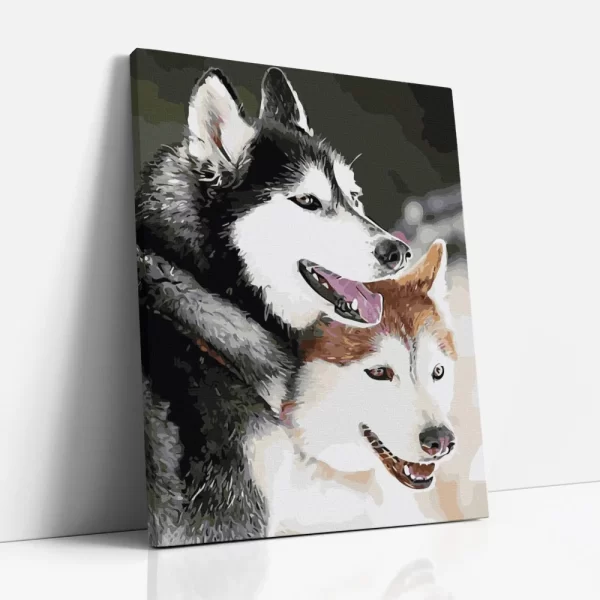 husky pár számfestő oldalról