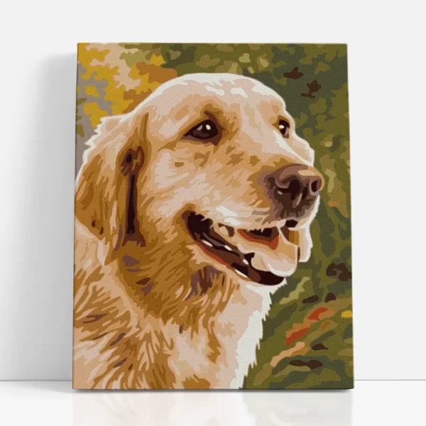 kedves szemű aranyretriver számfestő szemből