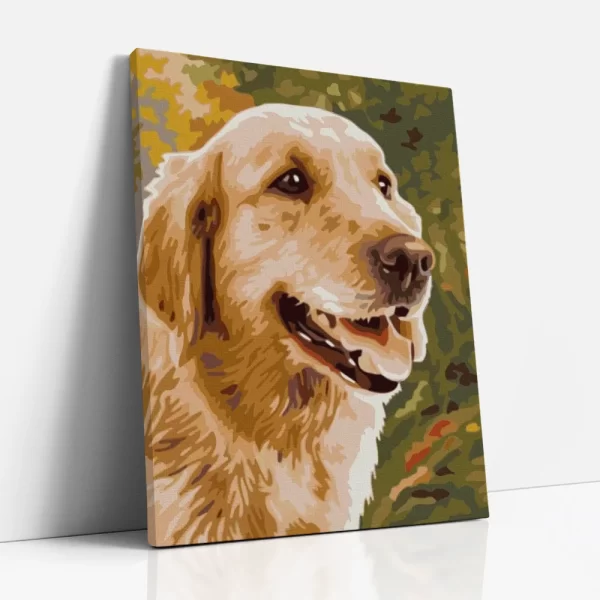 kedves szemű aranyretriver számfestő oldalról