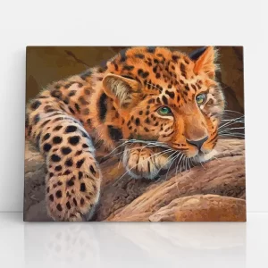 kedves szemű leopárd számfestő szemből