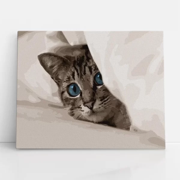 kiscica a takaró alatt számfestő szemből