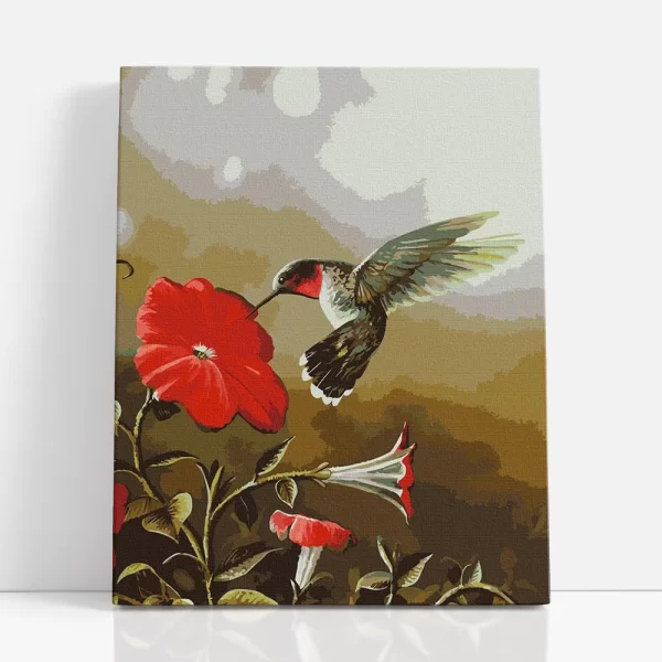 kolibri számfestő szemből