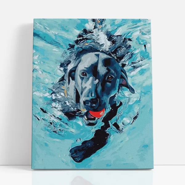 kutyus a vízben számfestő szemből