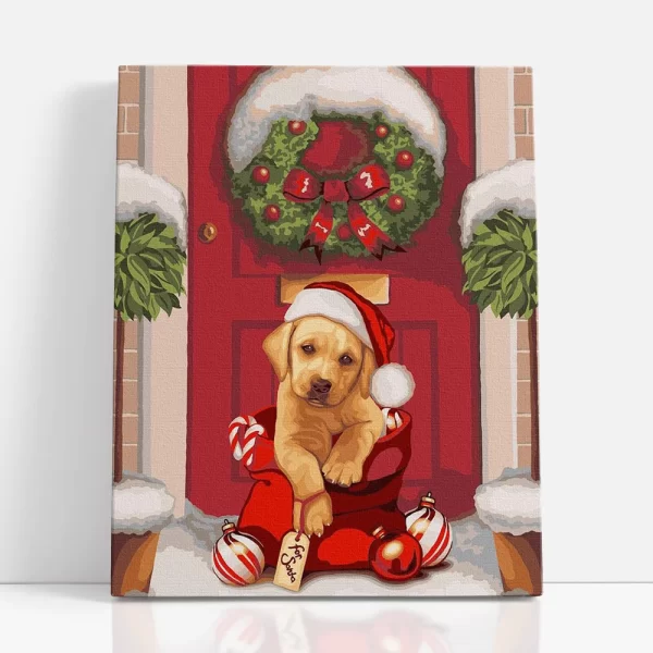 legkedvesebb ajándék számfestő szemből