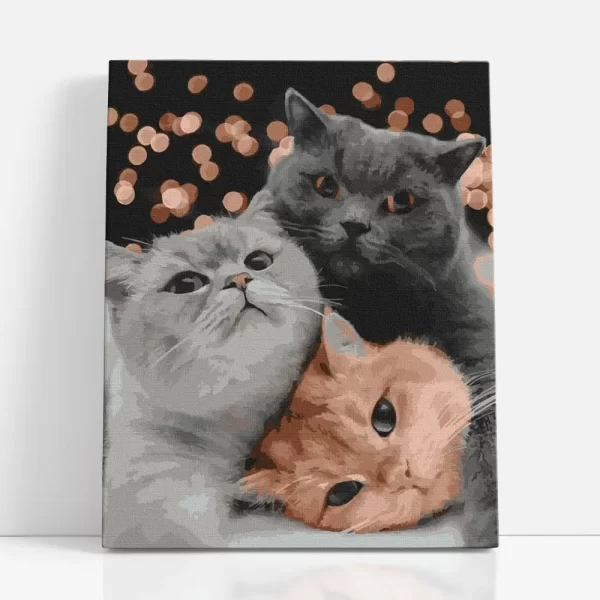 nyávogó trió számfestő szemből