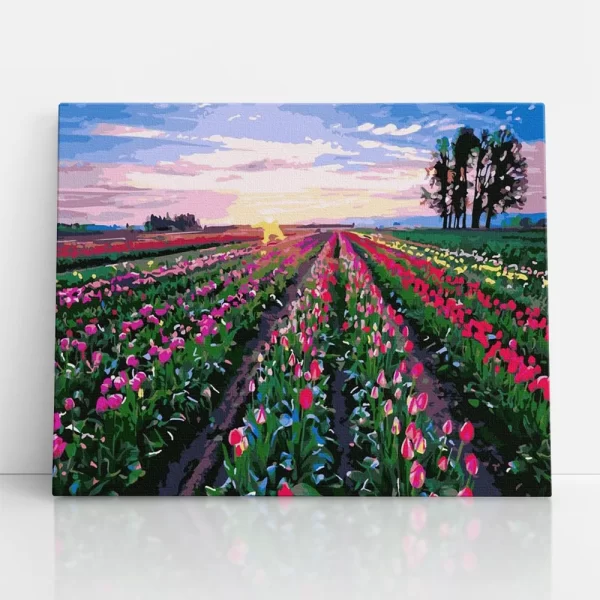 tulipán mező számfestő szemből
