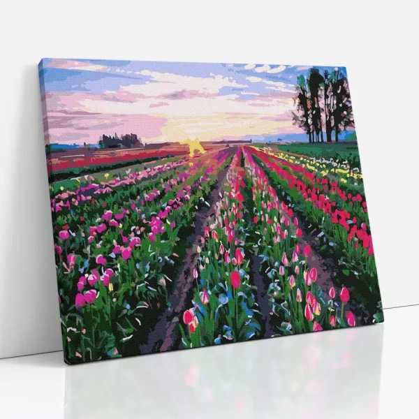 tulipán mező számfestő oldalról