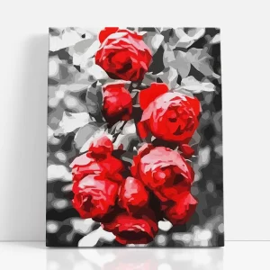 vörös rózsa számfestő szemből