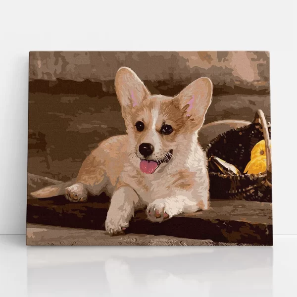 corgie kölyök számfestő szemből