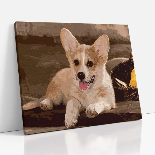 corgie kölyök számfestő oldalról