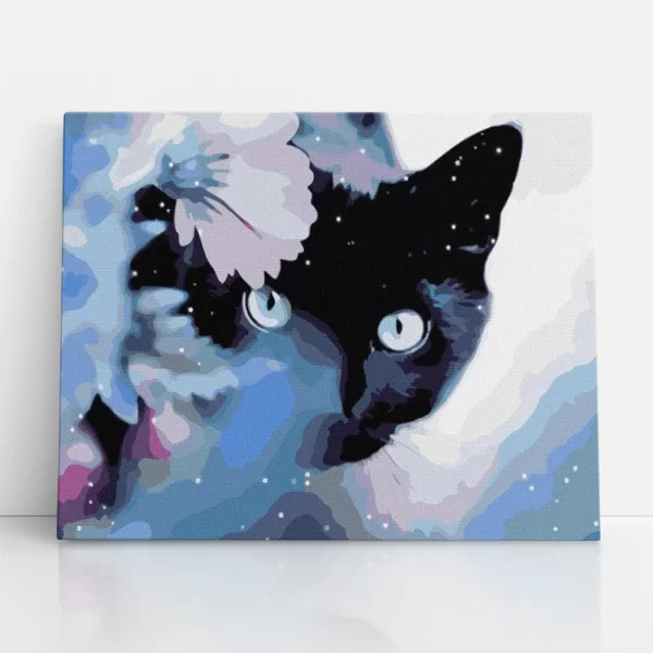 fekete cica tekintet számfestő szemből