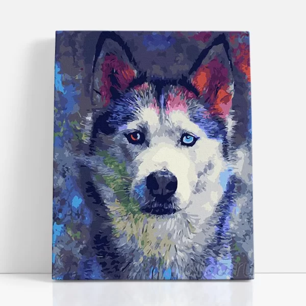 husky kutya számfestő szemből
